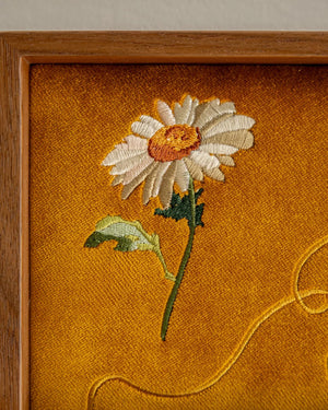 Daisy