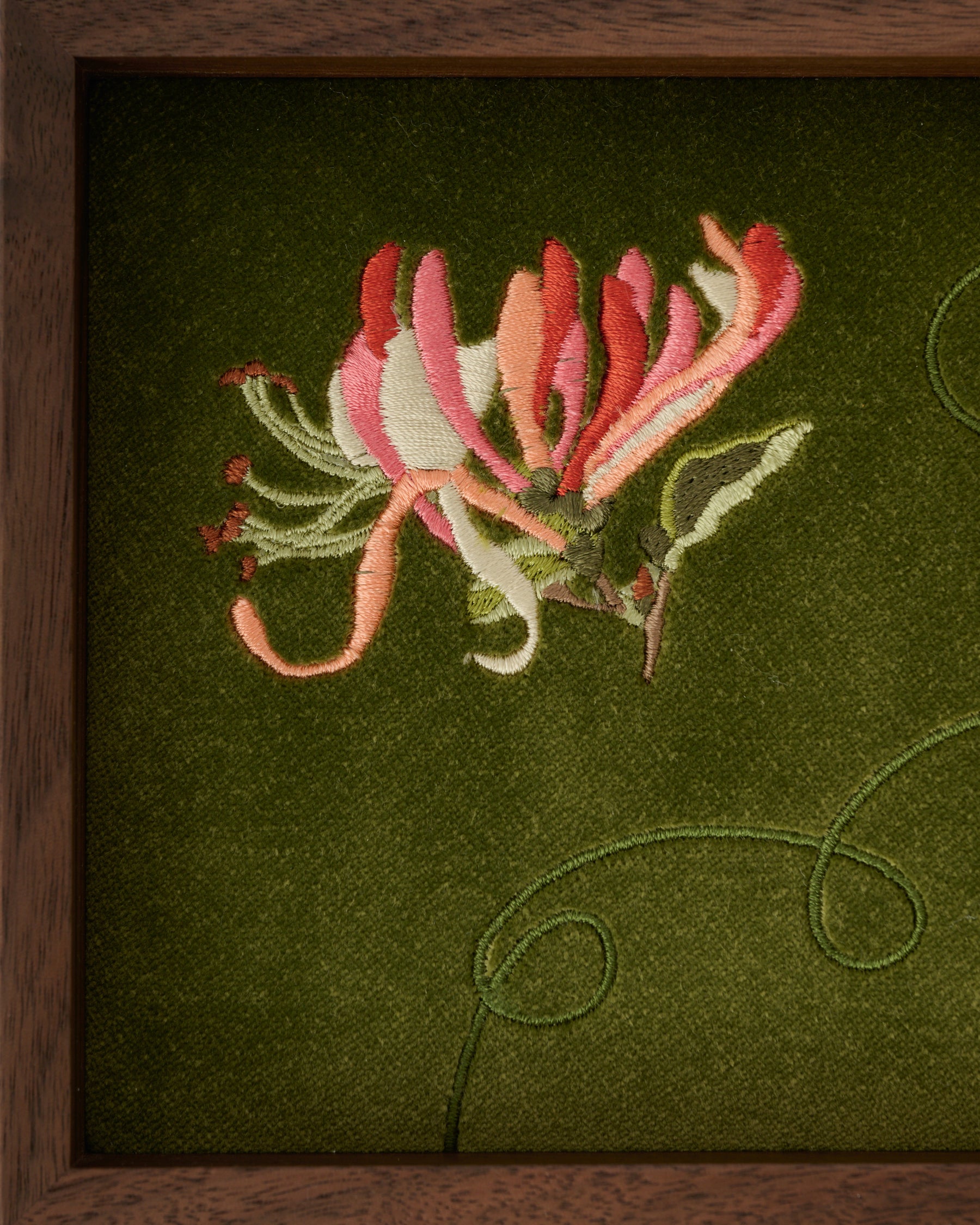 Honeysuckle