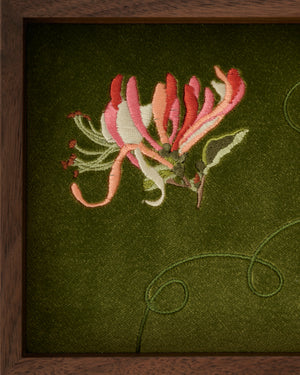 Honeysuckle