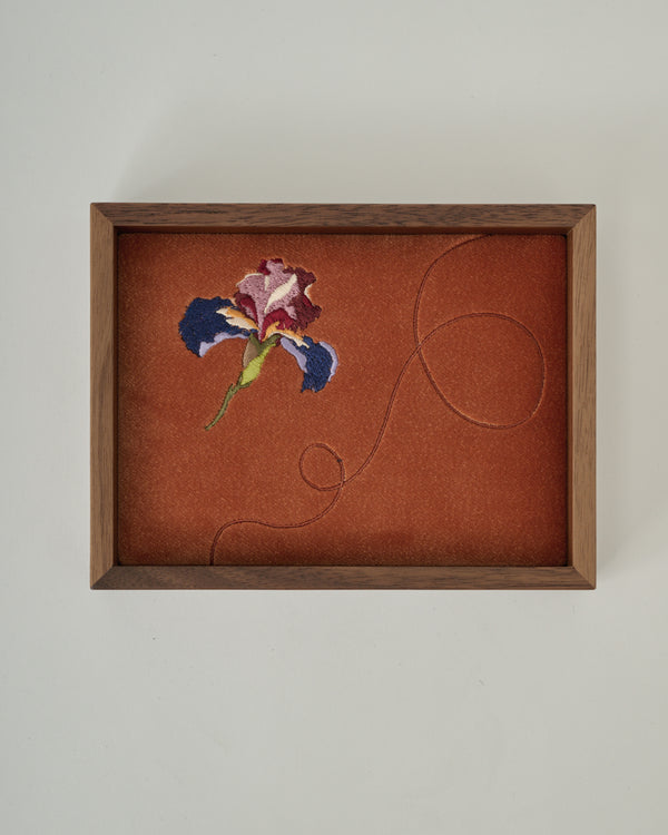 Iris