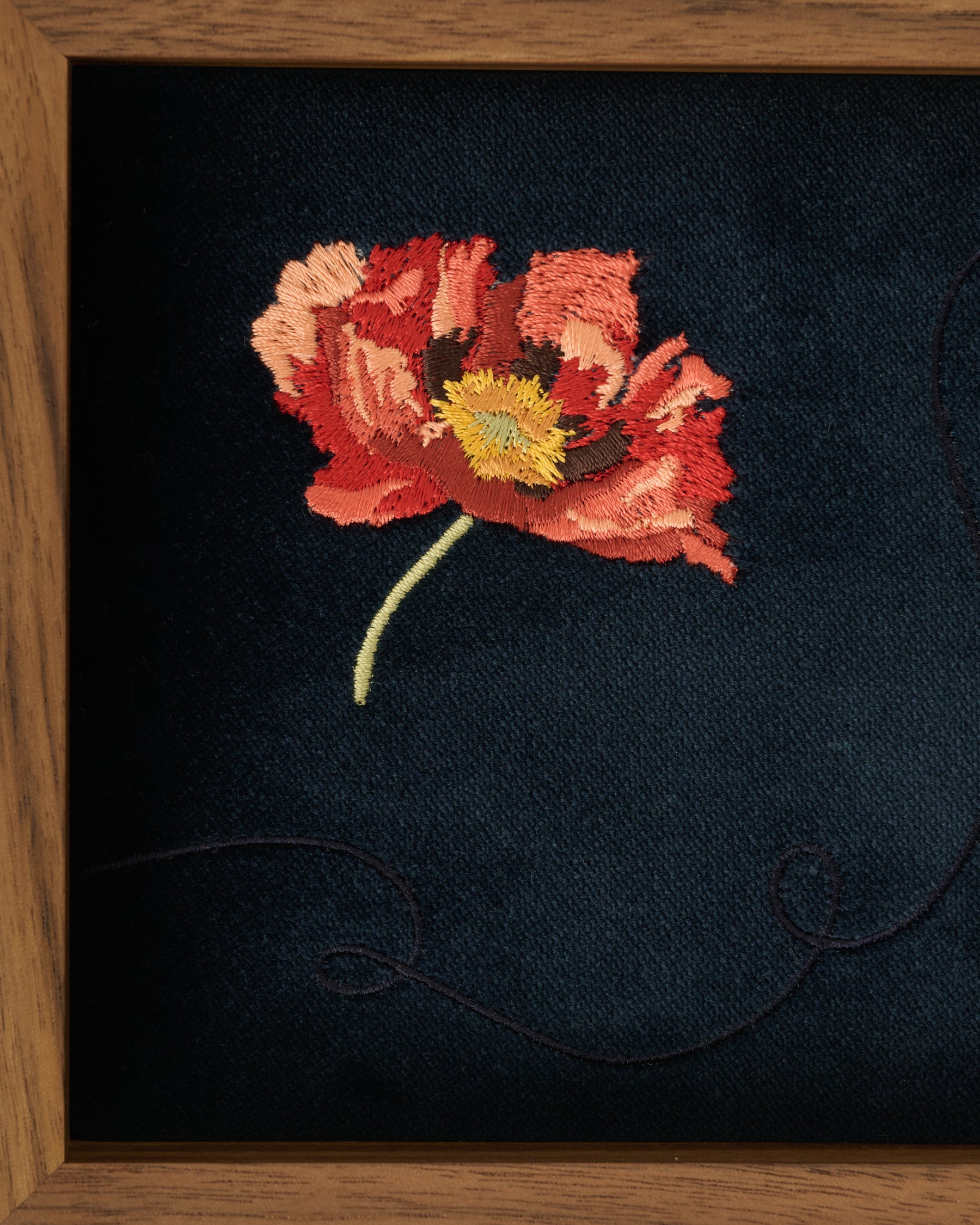 Poppy