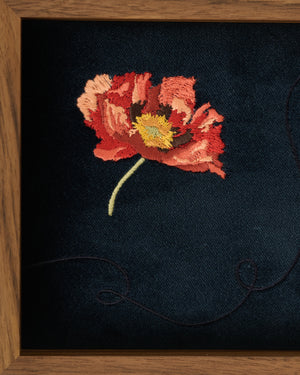 Poppy
