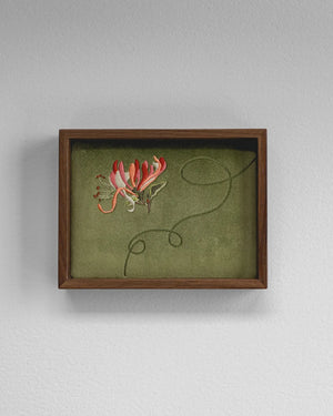 Honeysuckle