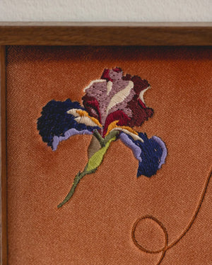 Iris