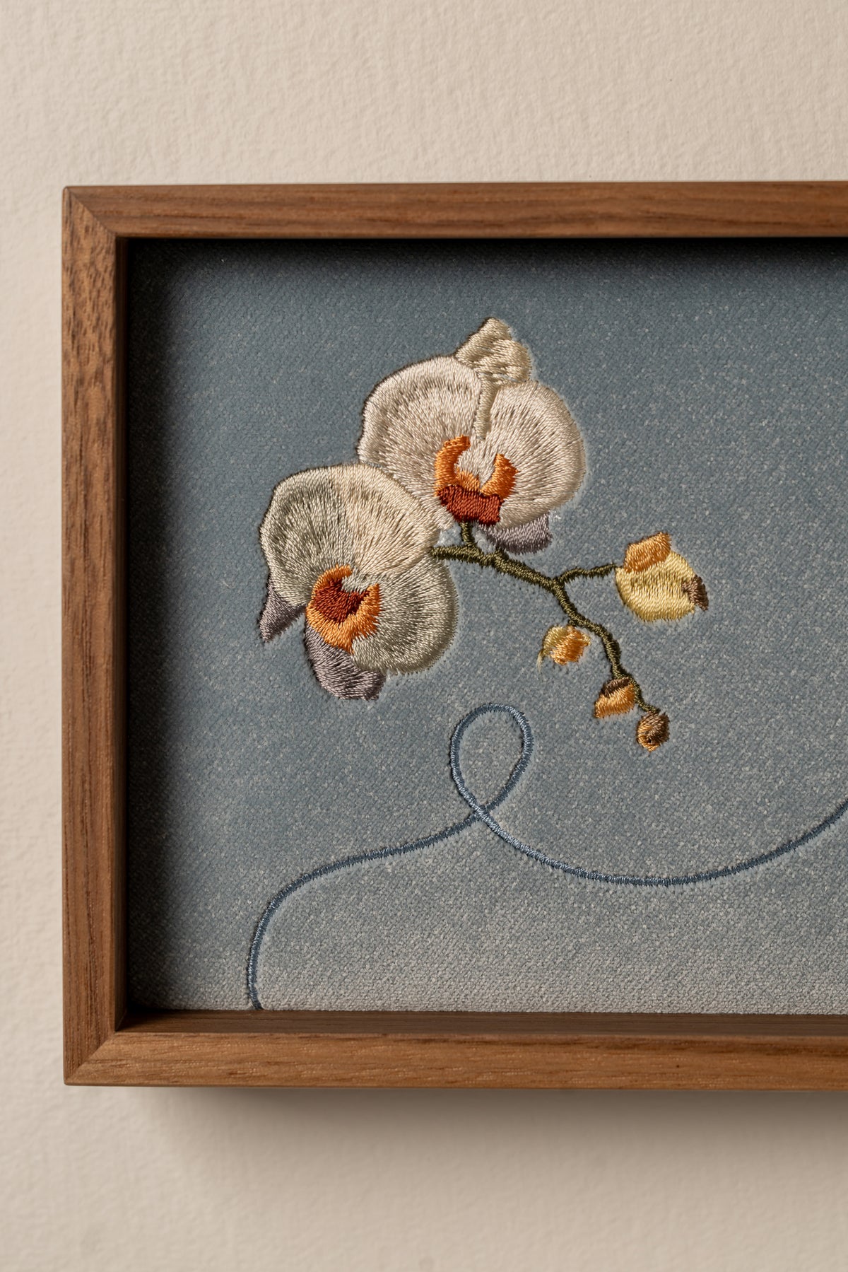 Orchid